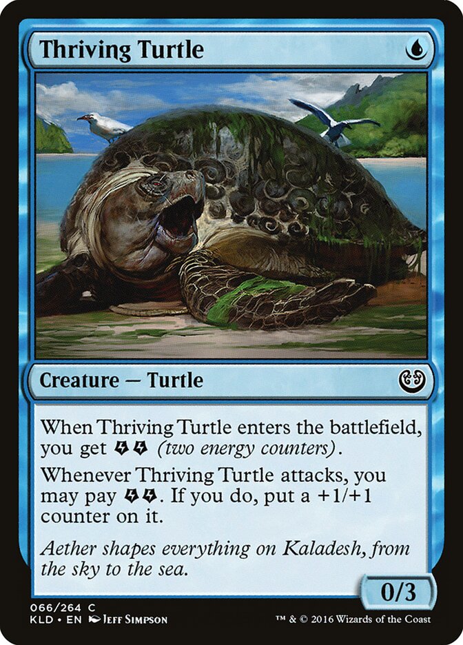 Thriving Turtle card front
