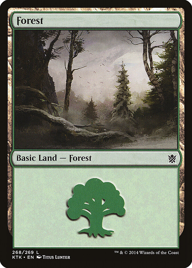 Forest card front
