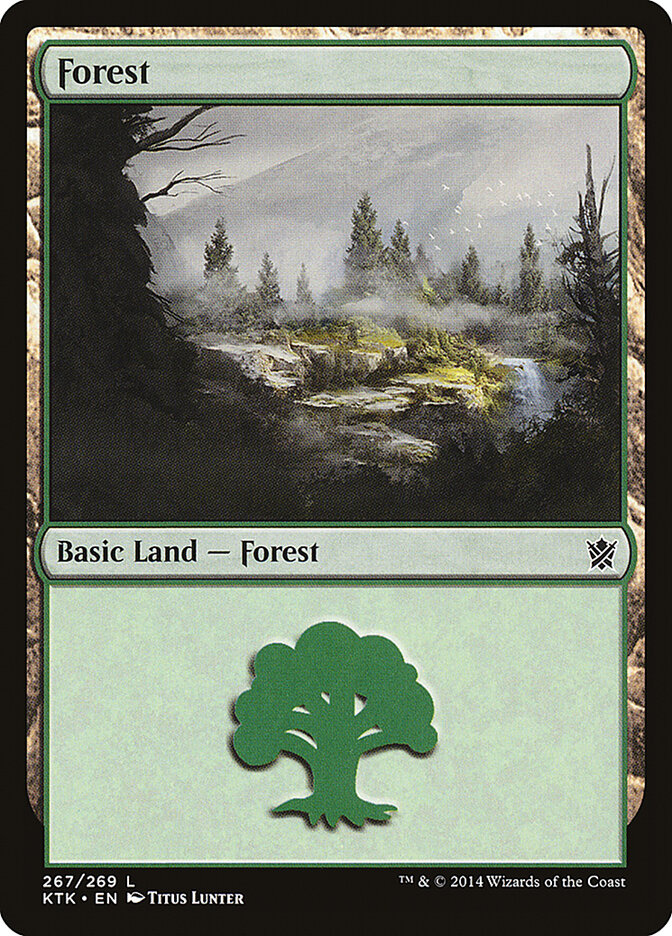 Forest card front