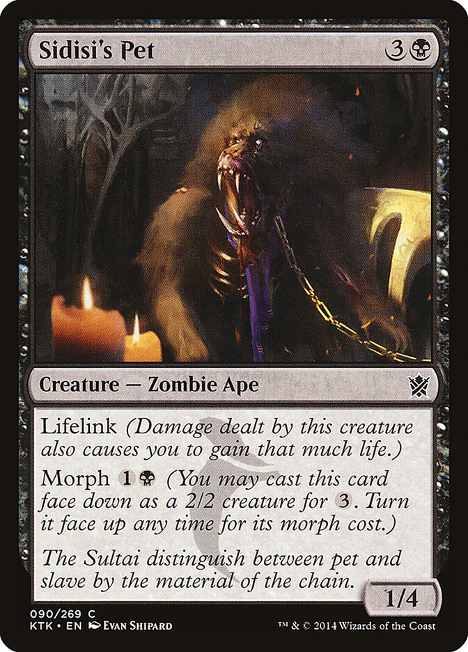 Sidisi's Pet card front