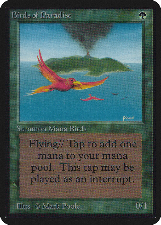 Birds of Paradise card front