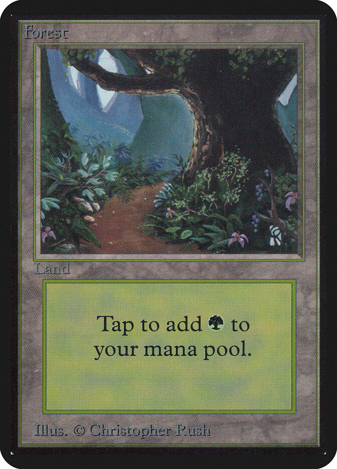 Forest card front