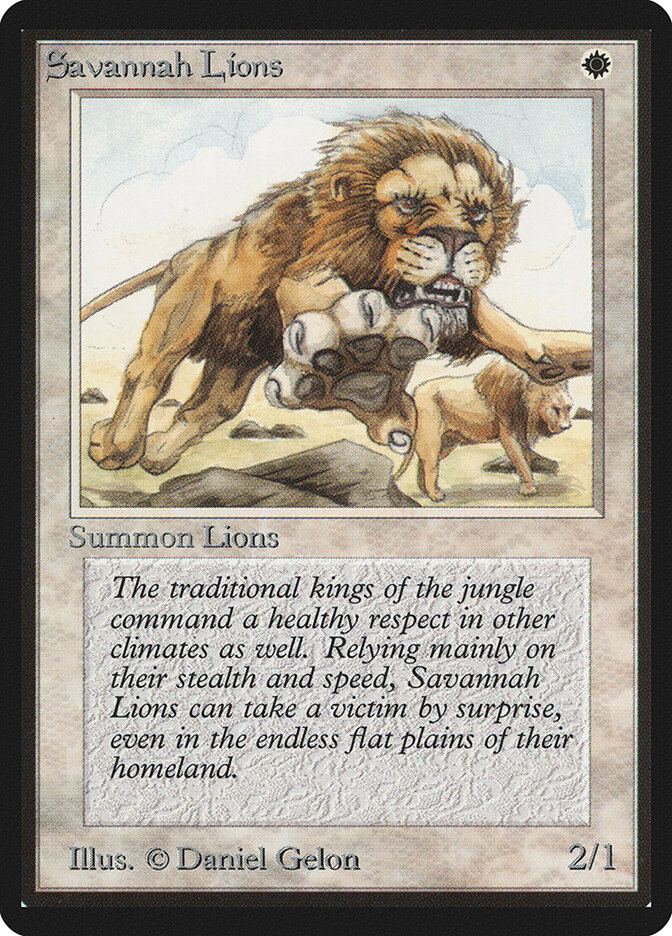 Savannah Lions card front