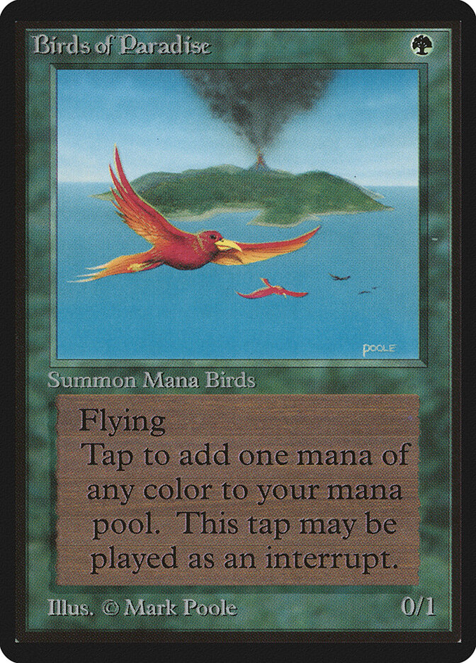 Birds of Paradise card front