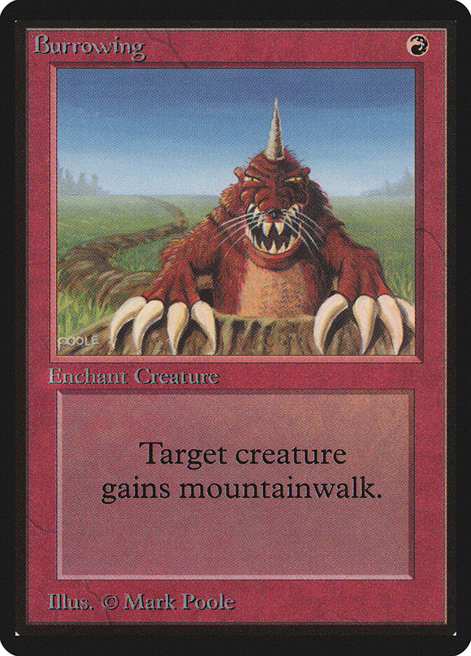 Burrowing card front