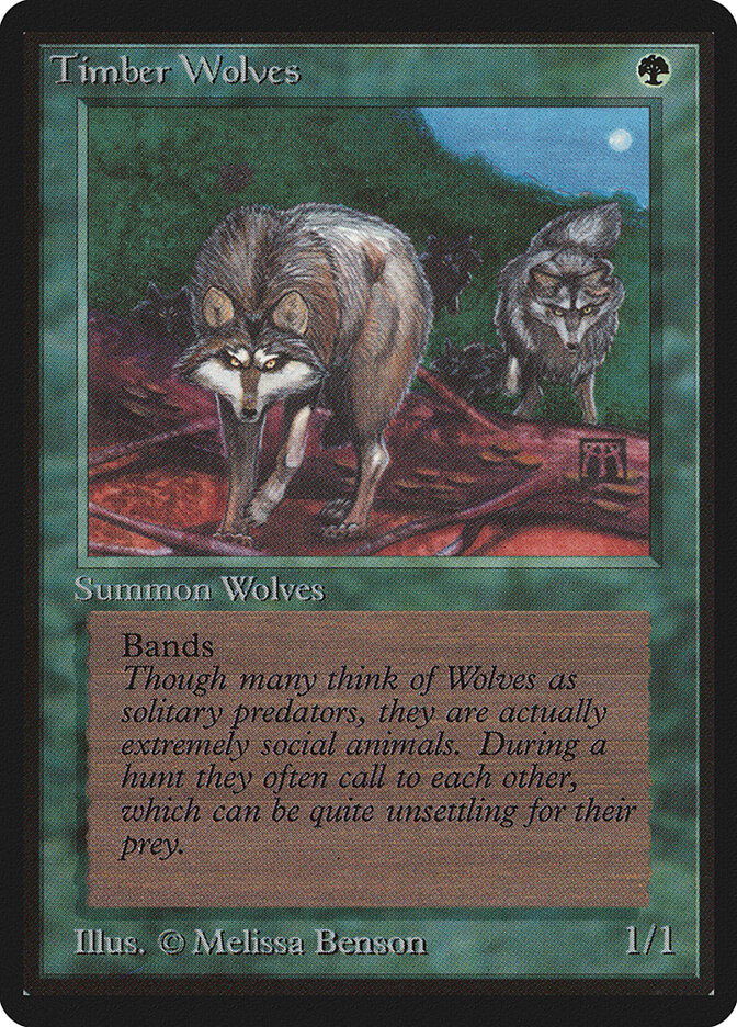 Timber Wolves card front