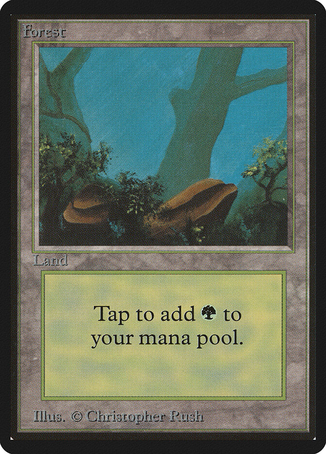 Forest card front