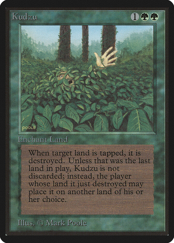 Kudzu card front
