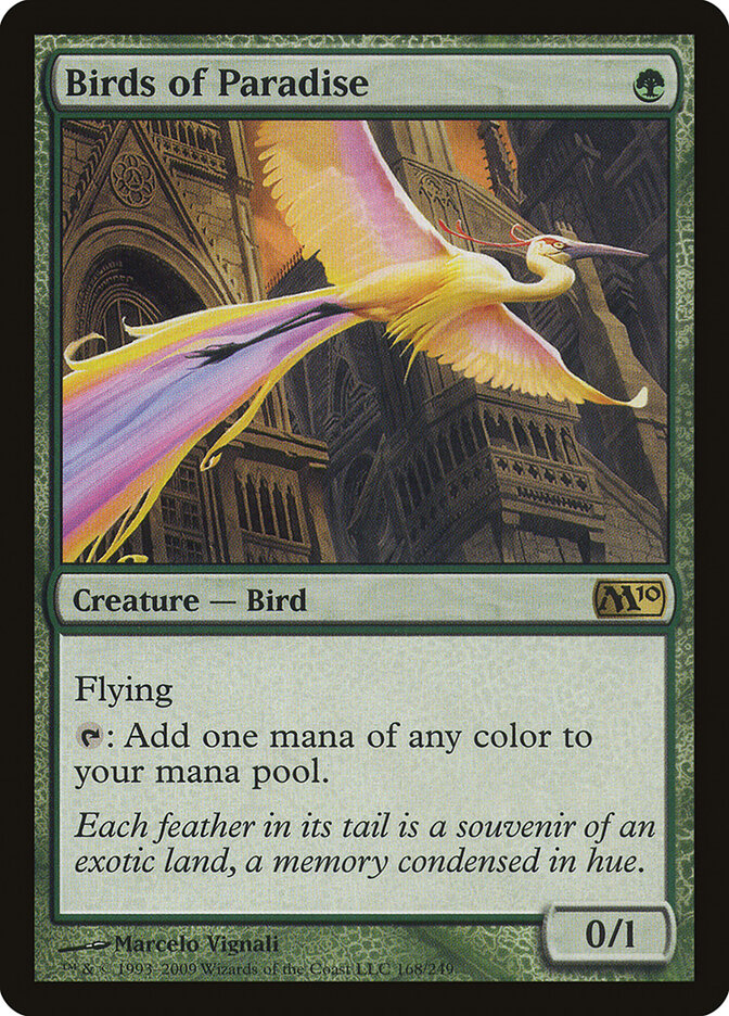 Birds of Paradise card front