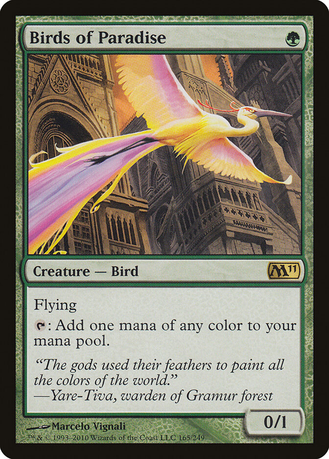 Birds of Paradise card front