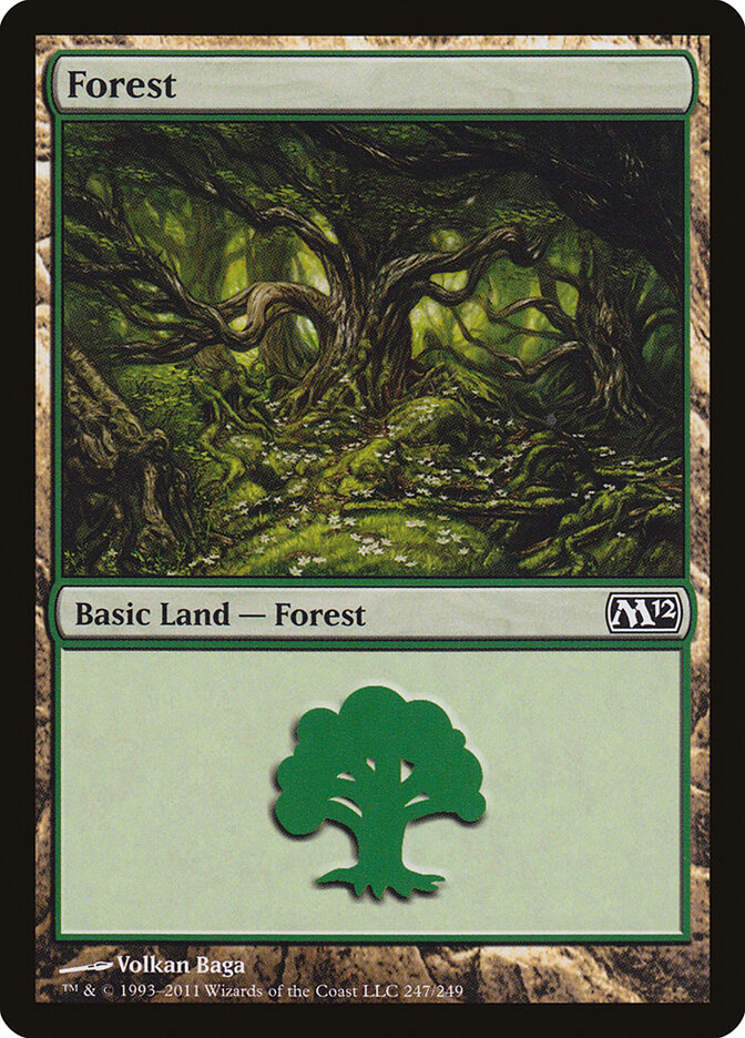 Forest card front