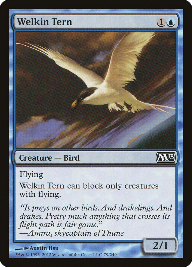 Welkin Tern card front