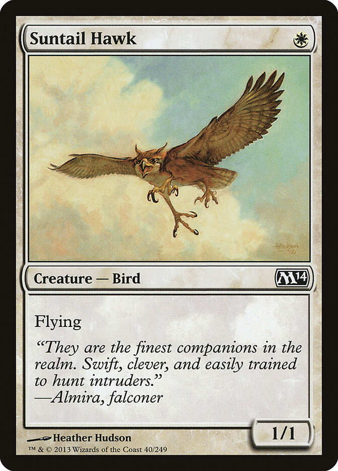 Suntail Hawk card front