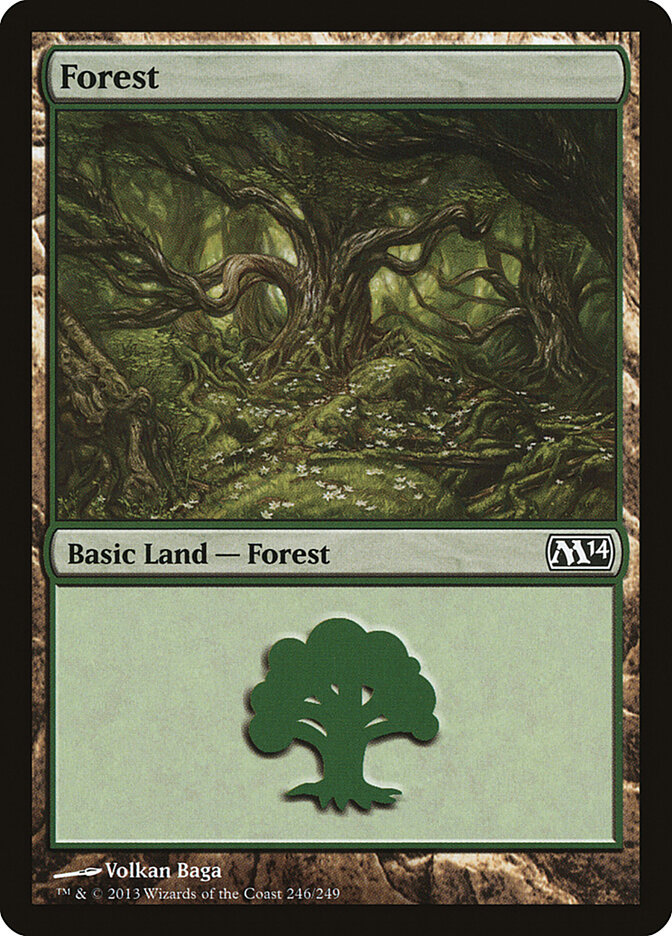 Forest card front