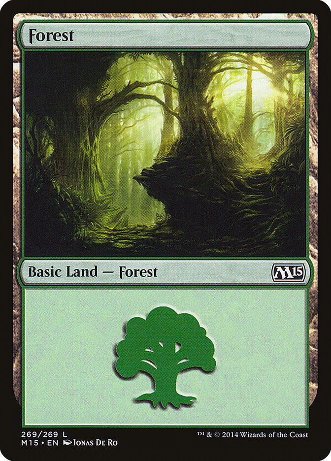 Forest card front