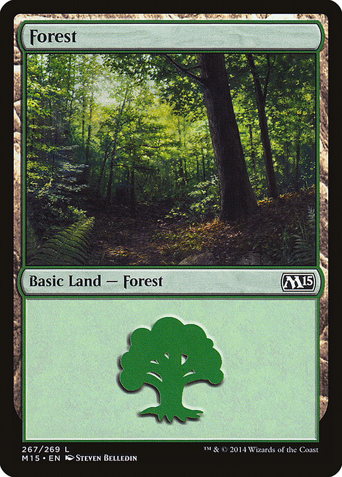 Forest card front