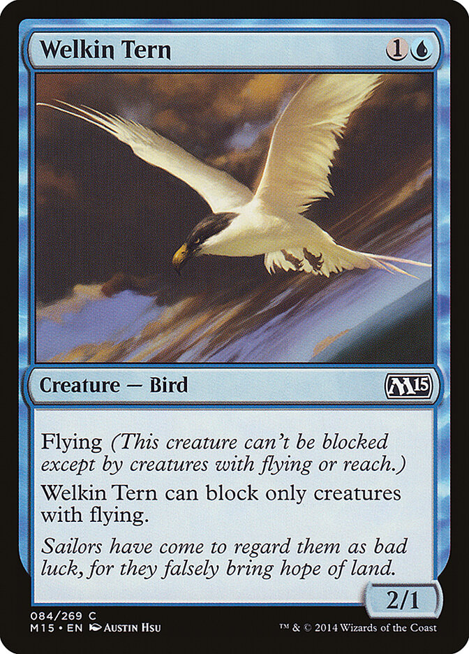 Welkin Tern card front