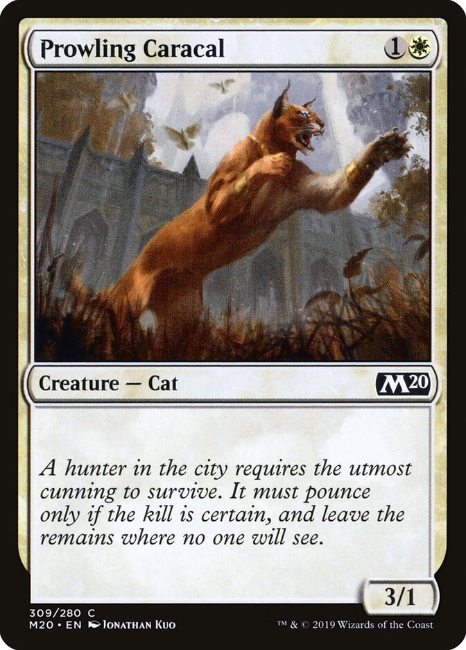Prowling Caracal card front