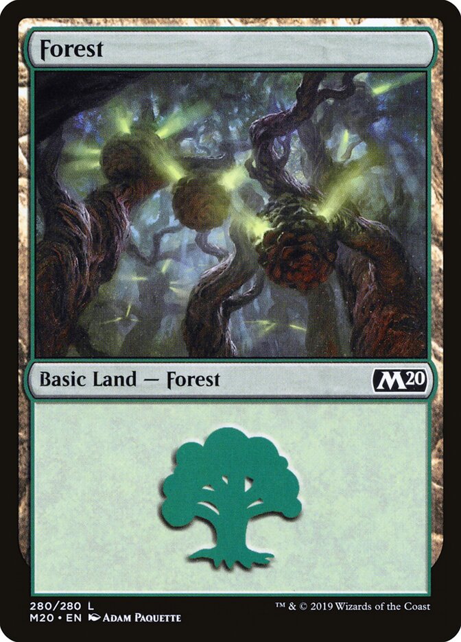 Forest card front