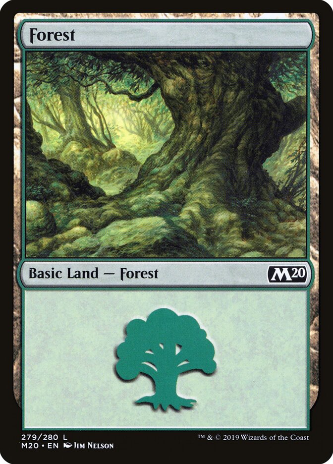 Forest card front