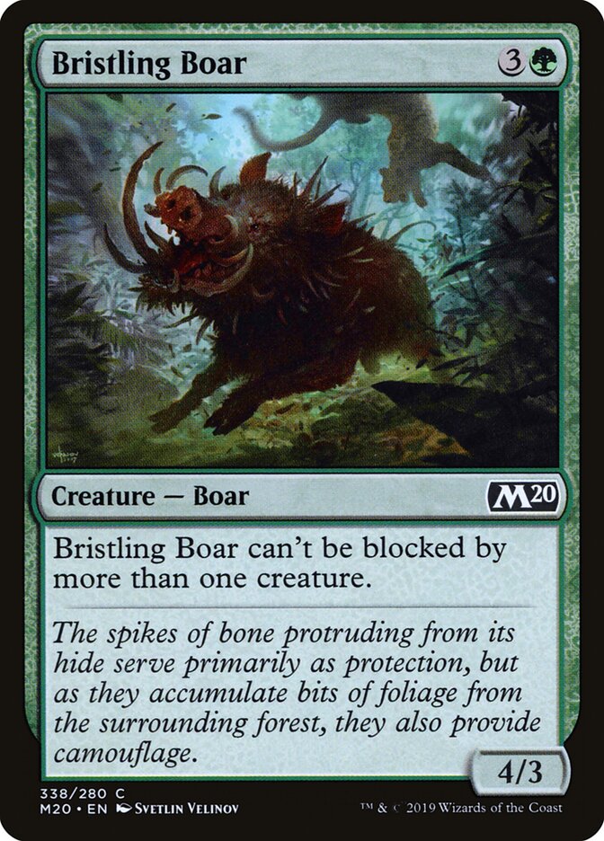Bristling Boar card front