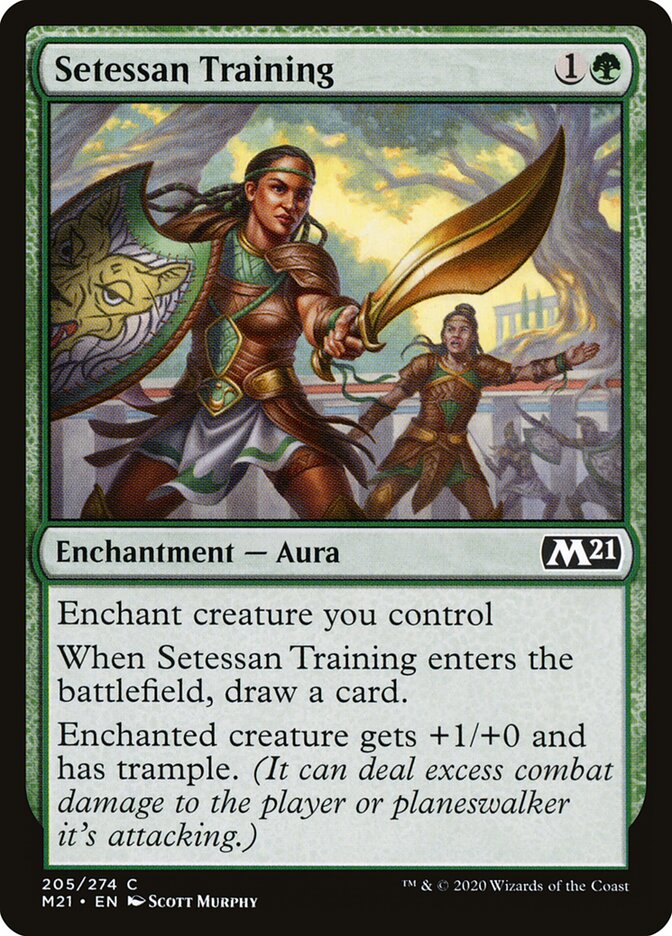 Setessan Training card front
