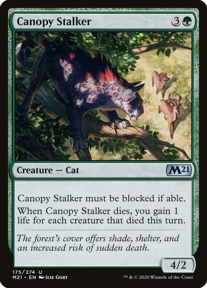 Canopy Stalker card front