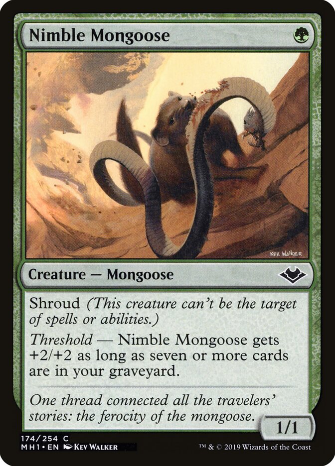Nimble Mongoose card front