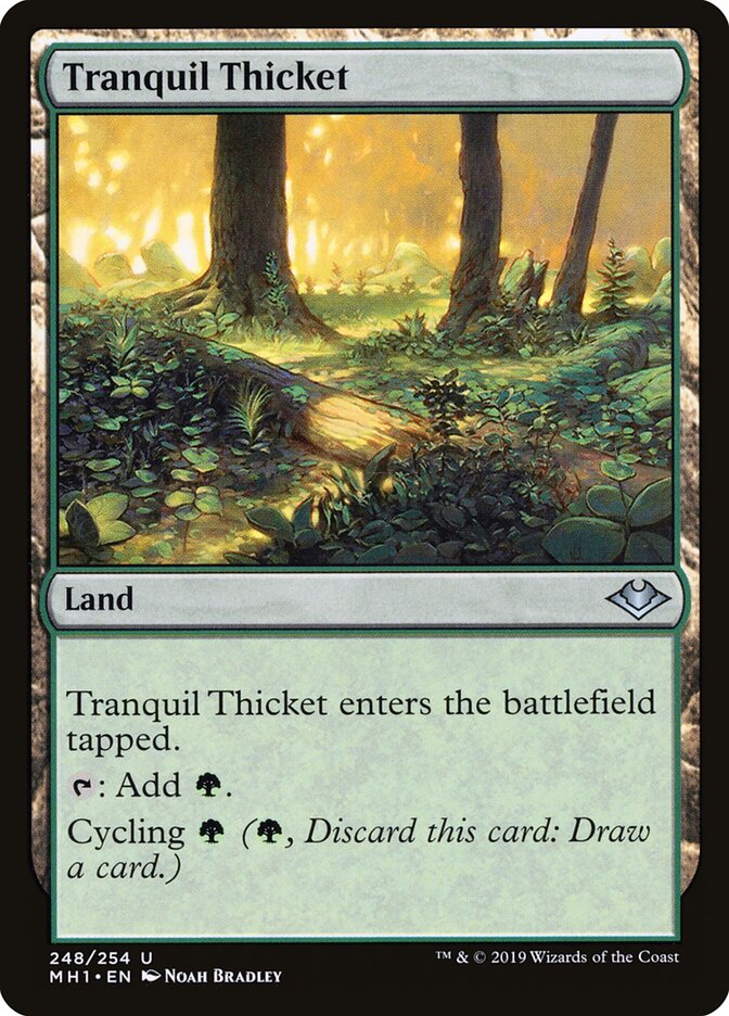 Tranquil Thicket card front