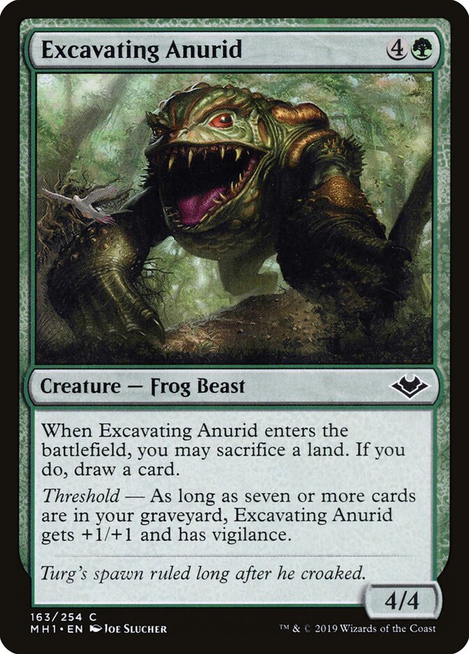 Excavating Anurid card front