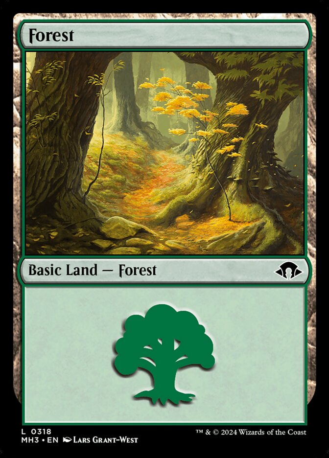 Forest card front