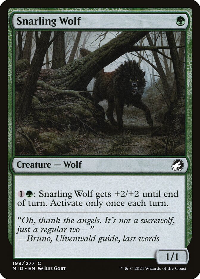 Snarling Wolf card front
