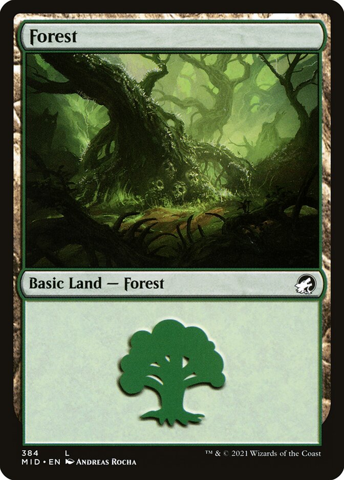 Forest card front