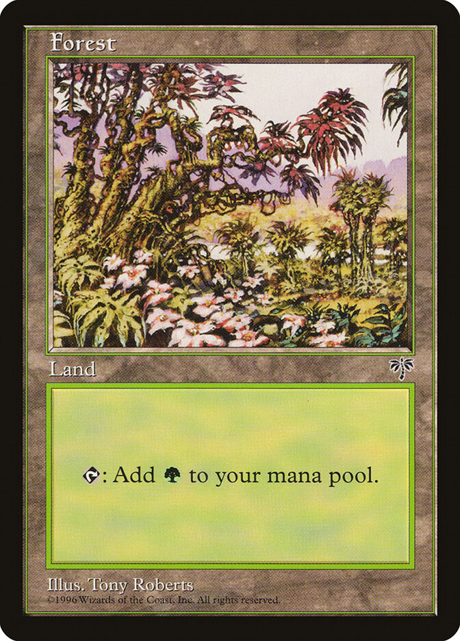 Forest card front