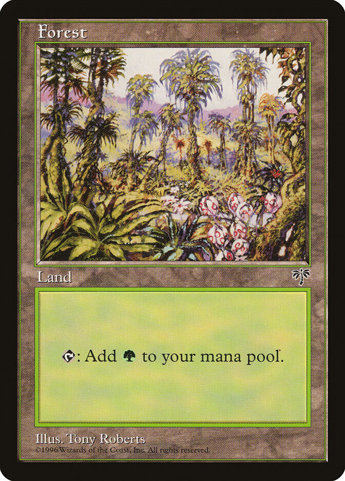 Forest card front