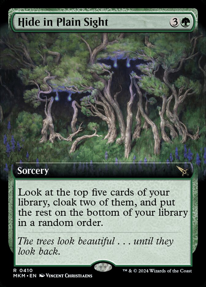 Hide in Plain Sight card front