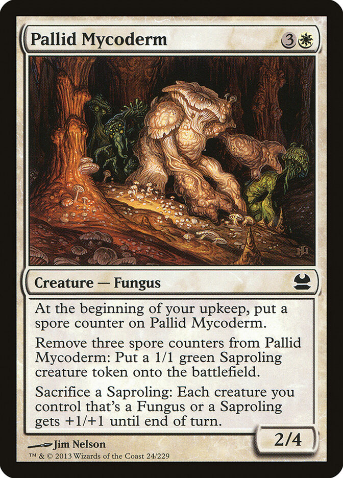Pallid Mycoderm card front