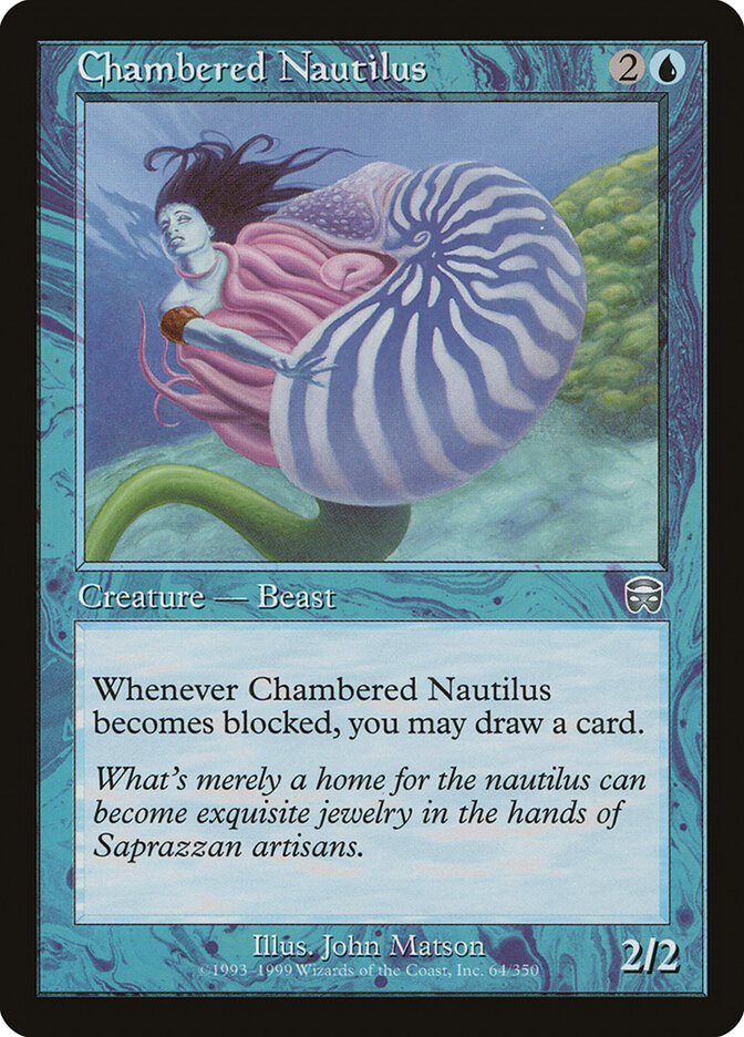 Chambered Nautilus card front
