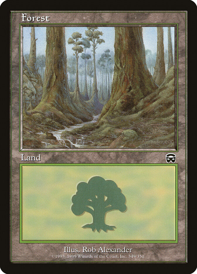 Forest card front