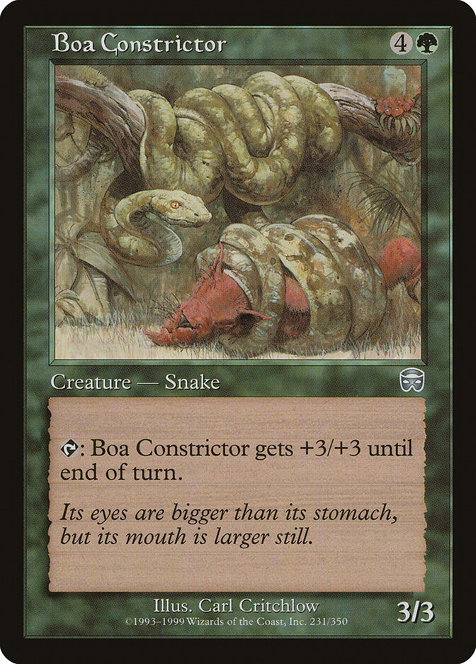 Boa Constrictor card front
