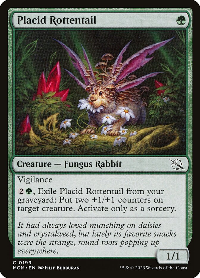 Placid Rottentail card front