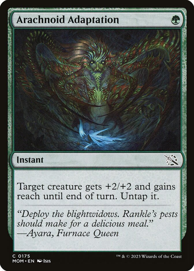 Arachnoid Adaptation card front