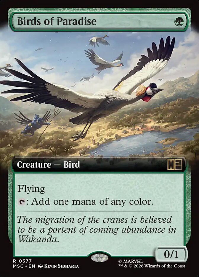 Birds of Paradise card front