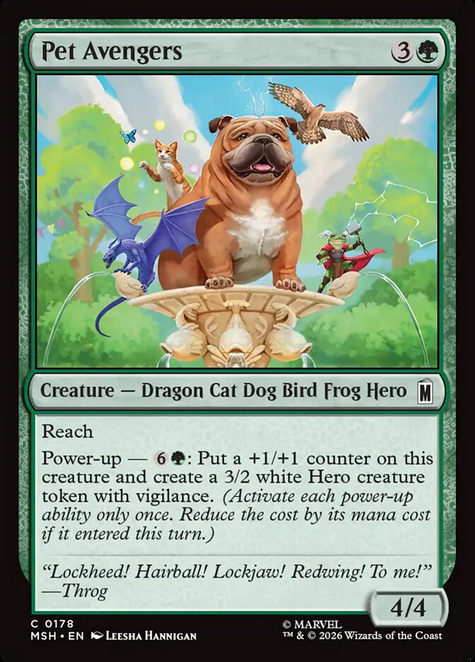 Pet Avengers card front
