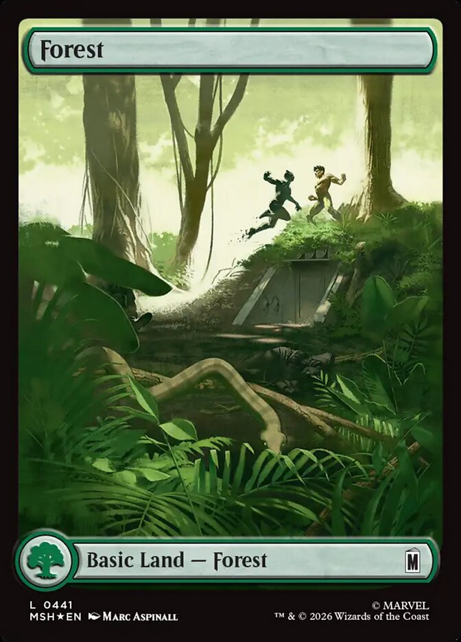 Forest card front