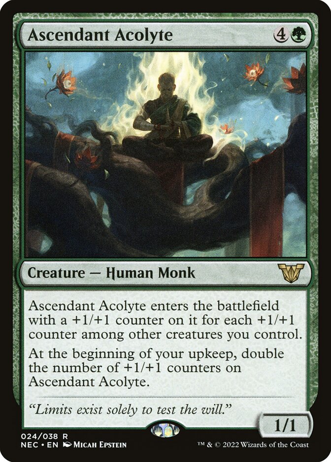 Ascendant Acolyte card front