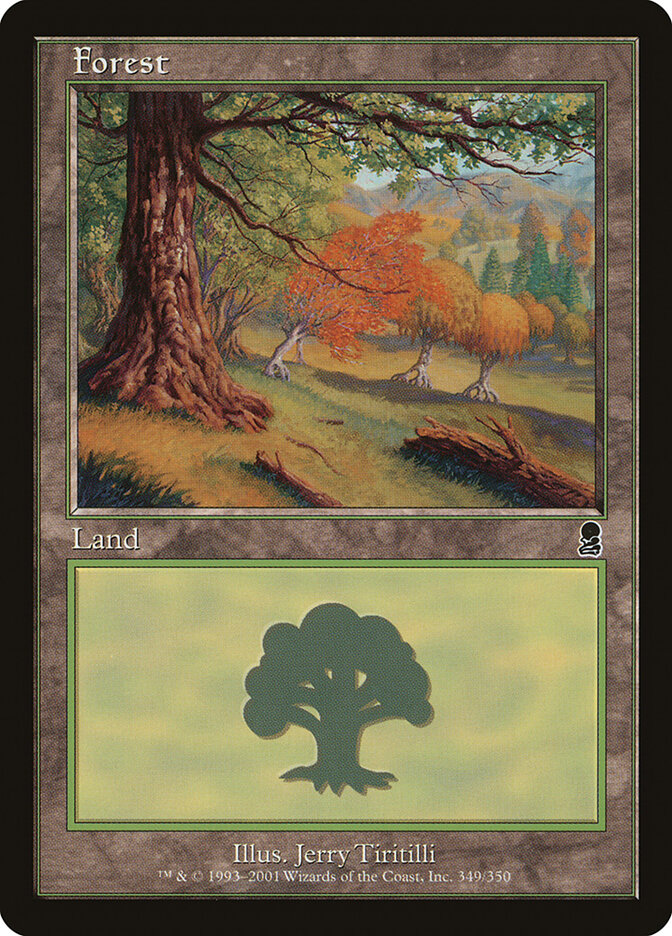 Forest card front