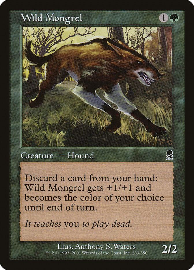 Wild Mongrel card front