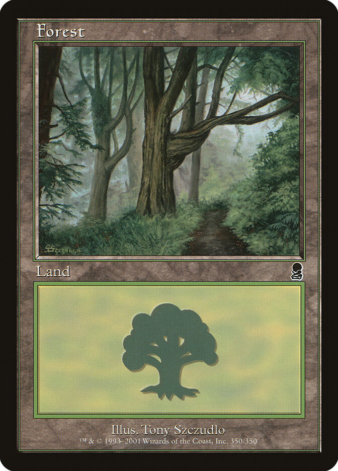 Forest card front