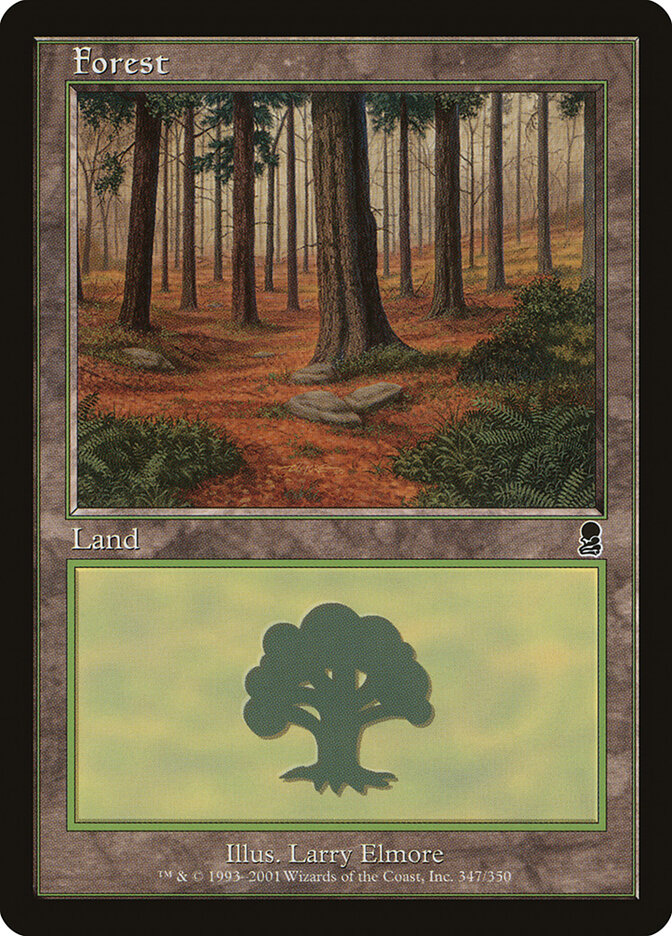 Forest card front